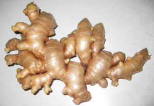 gingerroot500